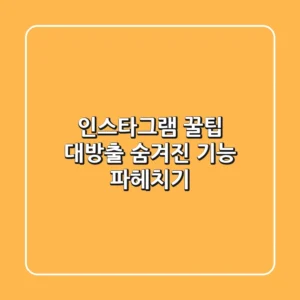 인스타그램 꿀팁 대방출! 숨겨진 기능 파헤치기