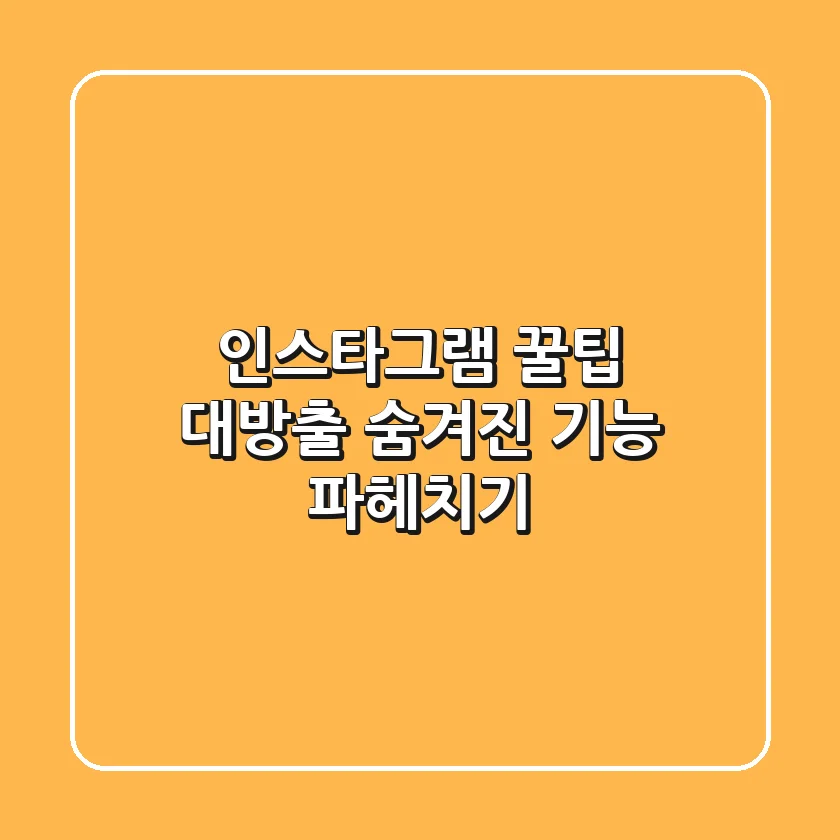 인스타그램 꿀팁 대방출! 숨겨진 기능 파헤치기
