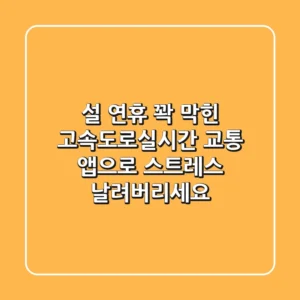 설 연휴, 꽉 막힌 고속도로!실시간 교통 앱으로 스트레스 날려버리세요!