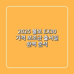 2025 볼보 EX30: 가격, 보조금, 출시일 완벽 분석!