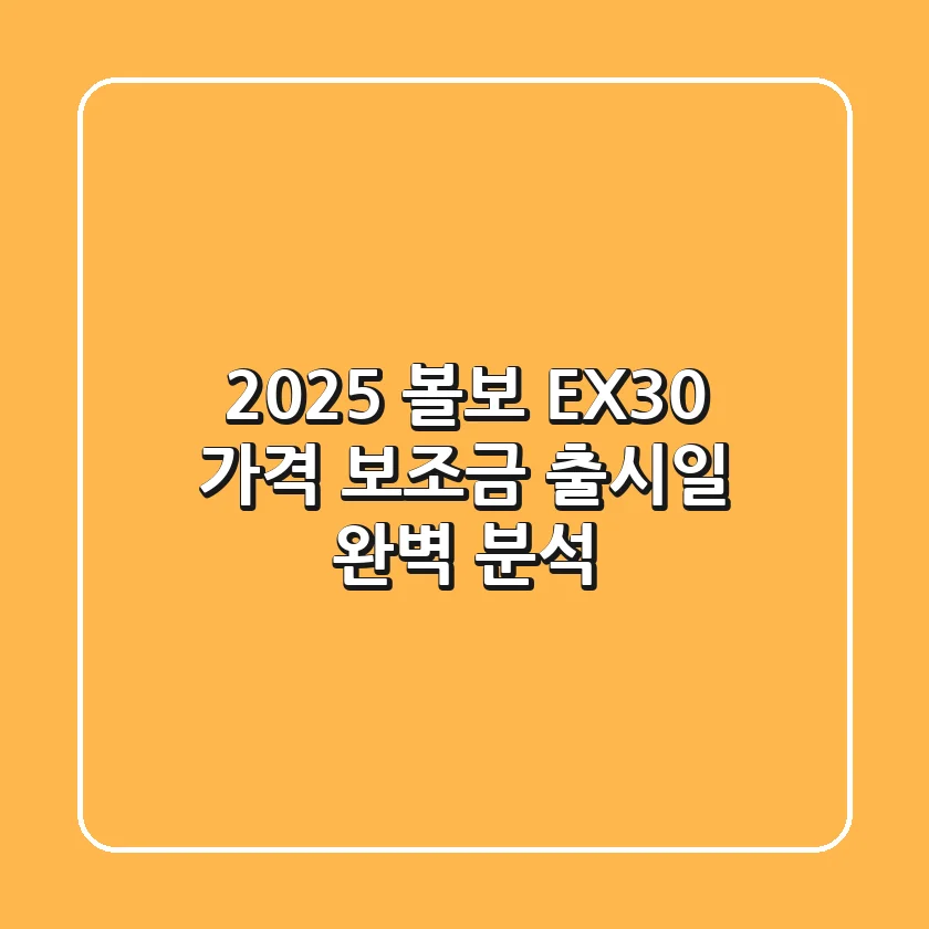 2025 볼보 EX30: 가격, 보조금, 출시일 완벽 분석!