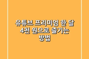 유튜브 프리미엄, 한 달 4천 원으로 즐기는 방법