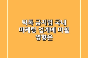 틱톡 금지법, 국내 마케팅 업계에 미칠 영향은? 🤔