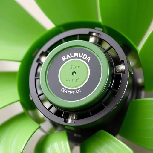 발뮤다 서큘레이터, 단순 구매 넘어 스마트 활용법