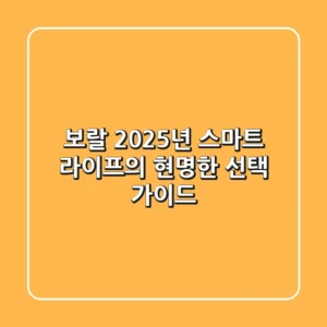 보랄, 2025년 스마트 라이프의 현명한 선택 가이드