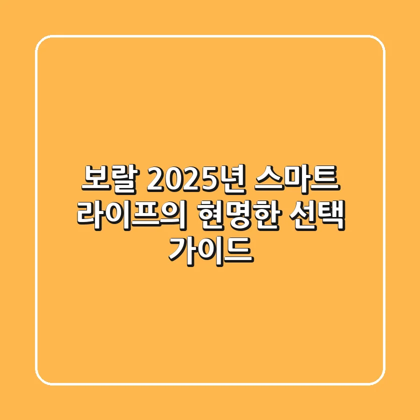 보랄, 2025년 스마트 라이프의 현명한 선택 가이드
