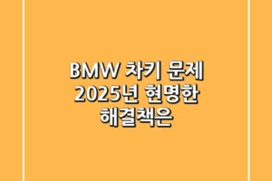 BMW 차키 문제, 2025년 현명한 해결책은?