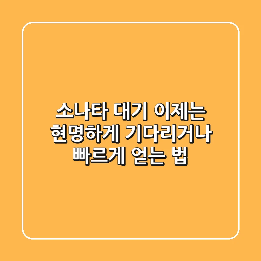 소나타 대기, 이제는 현명하게 기다리거나 빠르게 얻는 법