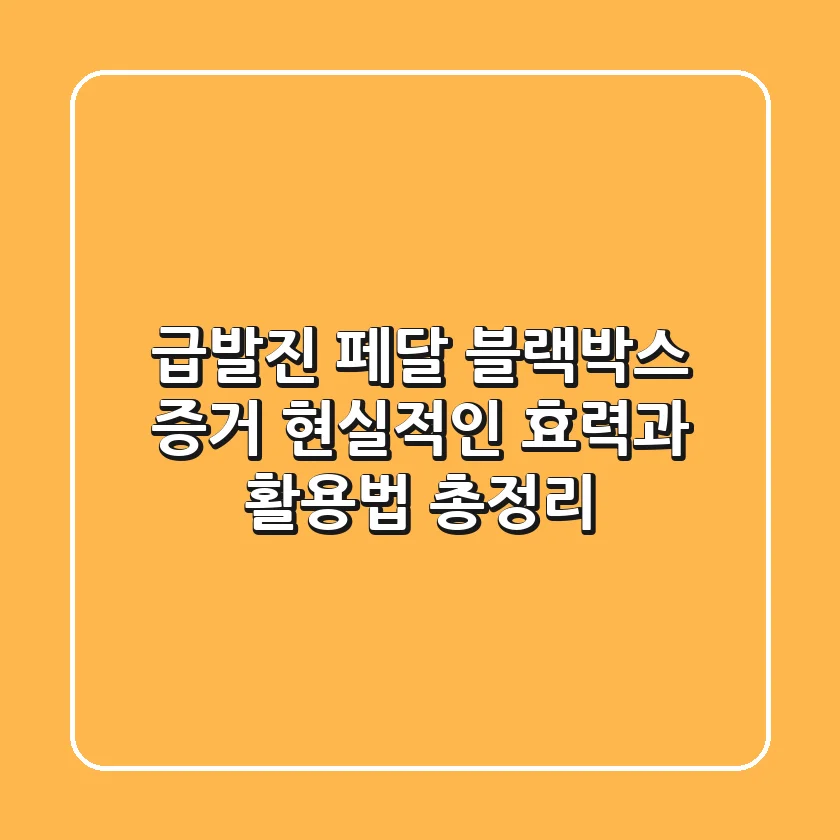 급발진 페달 블랙박스 증거, 현실적인 효력과 활용법 총정리