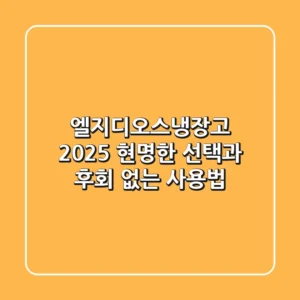 엘지디오스냉장고, 2025 현명한 선택과 후회 없는 사용법