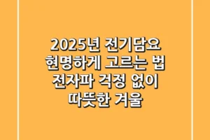 2025년 전기담요, 현명하게 고르는 법: 전자파 걱정 없이 따뜻한 겨울!