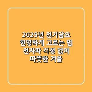 2025년 전기담요, 현명하게 고르는 법: 전자파 걱정 없이 따뜻한 겨울!
